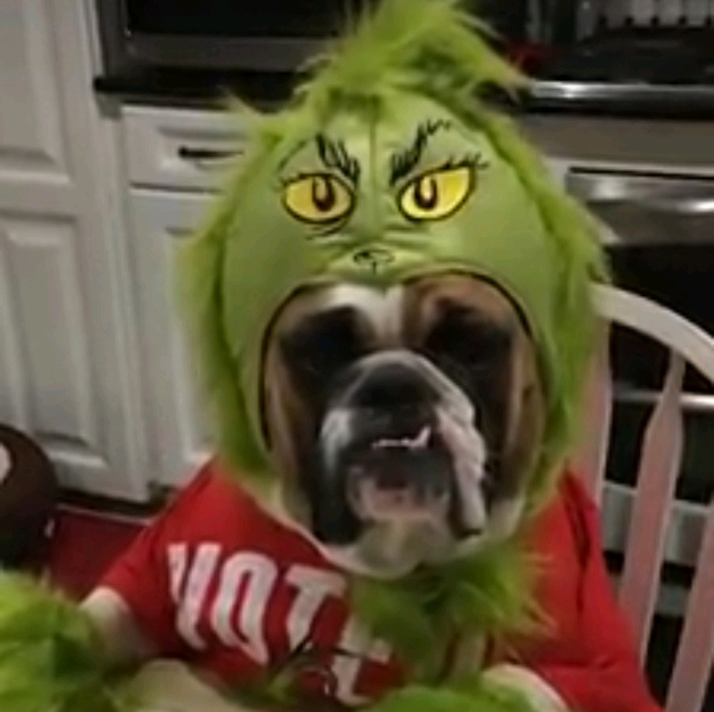 Meet your Posher, Francisco